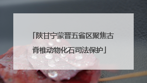 陕甘宁蒙晋五省区聚焦古脊椎动物化石司法保护