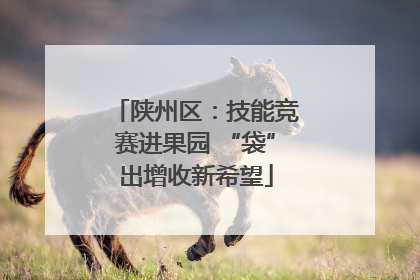 陕州区：技能竞赛进果园 “袋”出增收新希望
