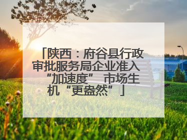 陕西：府谷县行政审批服务局企业准入“加速度” 市场生机“更盎然”