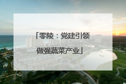 零陵：党建引领 做强蔬菜产业