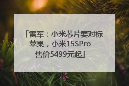 雷军：小米芯片要对标苹果，小米15SPro售价5499元起