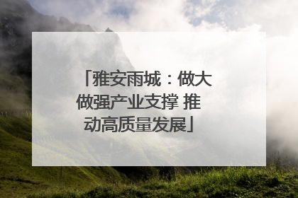 雅安雨城：做大做强产业支撑 推动高质量发展