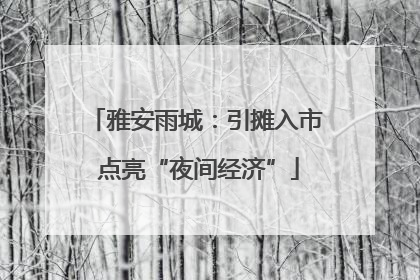 雅安雨城：引摊入市 点亮“夜间经济”