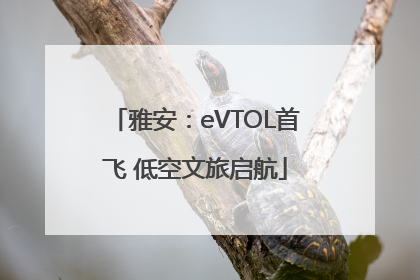 雅安：eVTOL首飞 低空文旅启航
