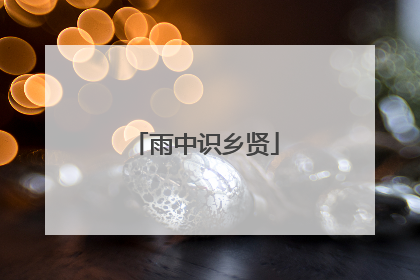 雨中识乡贤