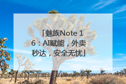 魅族Note 16：AI赋能，外卖秒达，安全无忧