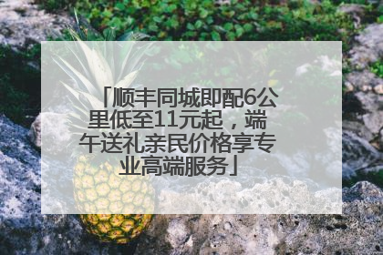 顺丰同城即配6公里低至11元起，端午送礼亲民价格享专业高端服务