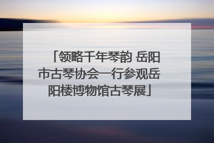 领略千年琴韵 岳阳市古琴协会一行参观岳阳楼博物馆古琴展