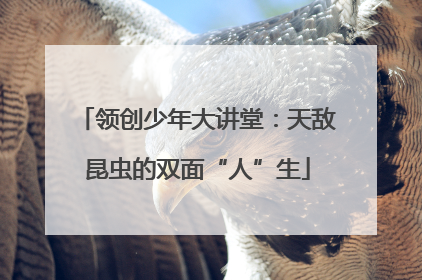 领创少年大讲堂：天敌昆虫的双面“人”生