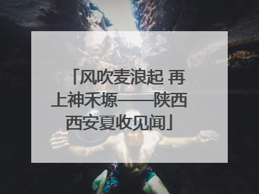 风吹麦浪起 再上神禾塬——陕西西安夏收见闻