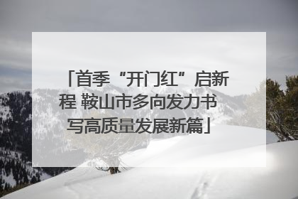 首季“开门红”启新程 鞍山市多向发力书写高质量发展新篇