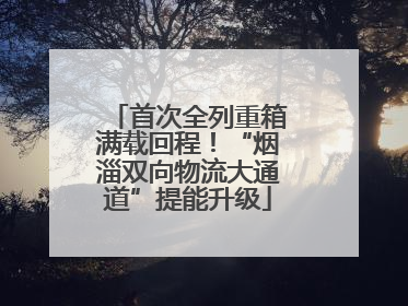 首次全列重箱满载回程！“烟淄双向物流大通道”提能升级