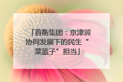 首衡集团：京津冀协同发展下的民生“菜篮子”担当