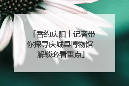 香约庆阳丨记者带你探寻庆城县博物馆 解锁必看重点