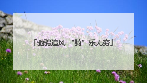 驰骋追风 “骑”乐无穷