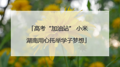 高考“加油站” 小米湖南用心托举学子梦想