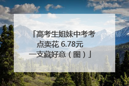 高考生姐妹中考考点卖花 6.78元一支藏好意（图）