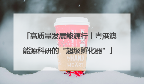 高质量发展能源行丨粤港澳能源科研的“超级孵化器”