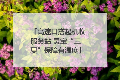 高速口搭起机收服务站 灵宝“三夏”保障有温度