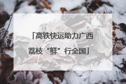 高铁快运助力广西荔枝“鲜”行全国