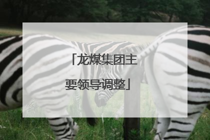 龙煤集团主要领导调整