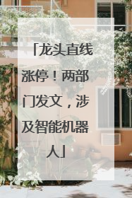 龙头直线涨停！两部门发文，涉及智能机器人