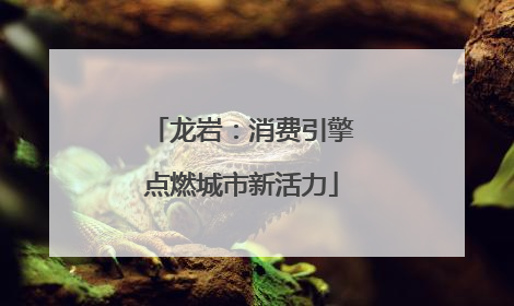 龙岩：消费引擎点燃城市新活力