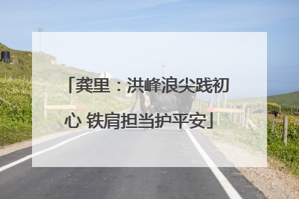 龚里：洪峰浪尖践初心 铁肩担当护平安