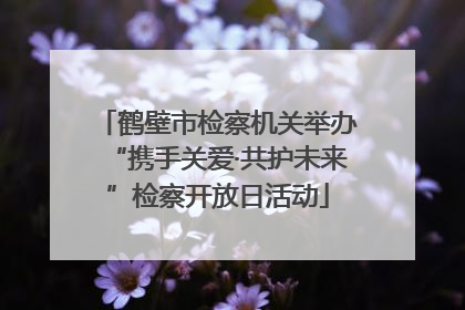 鹤壁市检察机关举办“携手关爱·共护未来”检察开放日活动
