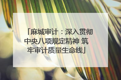 麻城审计：深入贯彻中央八项规定精神 筑牢审计质量生命线