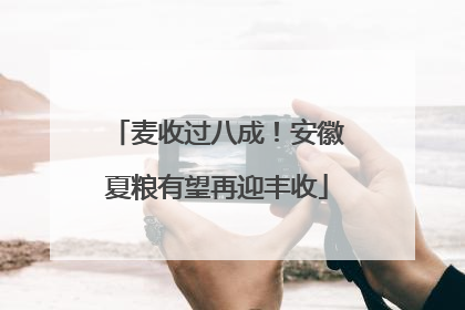 麦收过八成！安徽夏粮有望再迎丰收