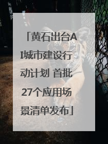 黄石出台AI城市建设行动计划 首批27个应用场景清单发布