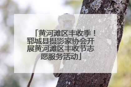 黄河滩区丰收季！郓城县摄影家协会开展黄河滩区丰收节志愿服务活动