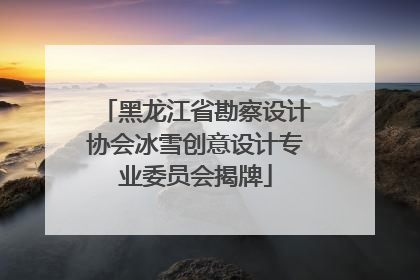 黑龙江省勘察设计协会冰雪创意设计专业委员会揭牌
