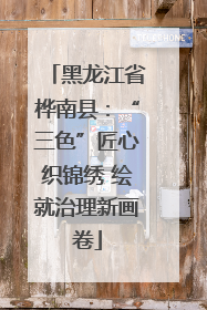 黑龙江省桦南县：“三色”匠心织锦绣 绘就治理新画卷