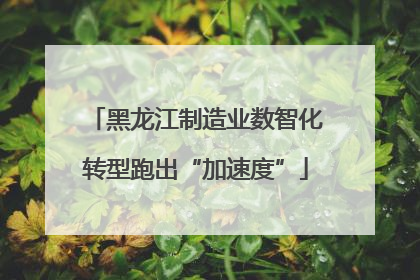黑龙江制造业数智化转型跑出“加速度”