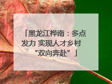 黑龙江桦南：多点发力 实现人才乡村“双向奔赴”