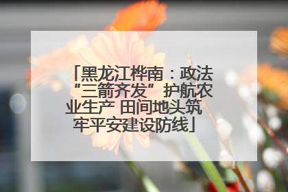 黑龙江桦南：政法“三箭齐发”护航农业生产 田间地头筑牢平安建设防线
