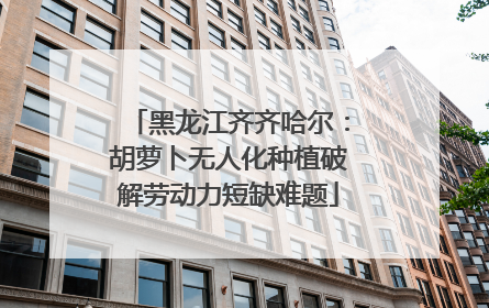 黑龙江齐齐哈尔：胡萝卜无人化种植破解劳动力短缺难题