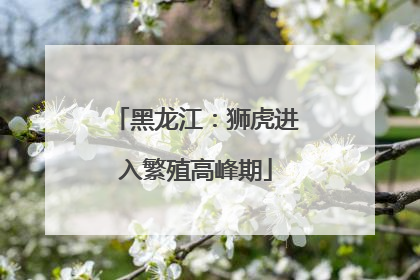 黑龙江：狮虎进入繁殖高峰期