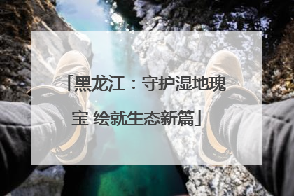 黑龙江：守护湿地瑰宝 绘就生态新篇
