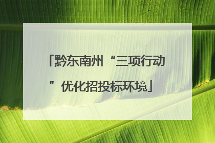 黔东南州“三项行动”优化招投标环境