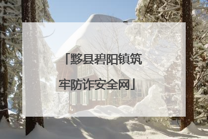 黟县碧阳镇筑牢防诈安全网