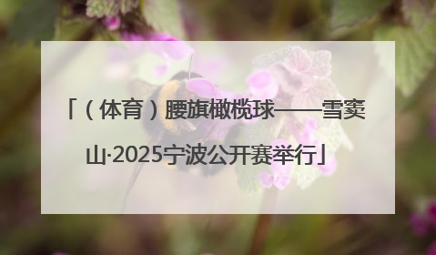 （体育）腰旗橄榄球——雪窦山·2025宁波公开赛举行
