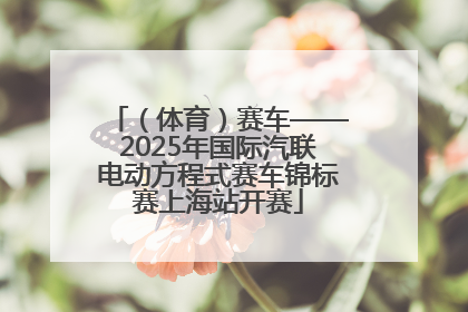 （体育）赛车——2025年国际汽联电动方程式赛车锦标赛上海站开赛