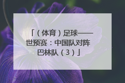 （体育）足球——世预赛：中国队对阵巴林队（3）