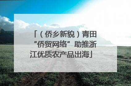 （侨乡新貌）青田“侨贸网络”助推浙江优质农产品出海
