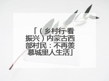 （乡村行·看振兴）内蒙古西部村民：不再羡慕城里人生活