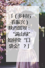 （乡村行·看振兴）陕西留坝：“满山绿”如何变“口袋金”？