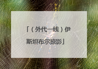 （外代一线）伊斯坦布尔掠影